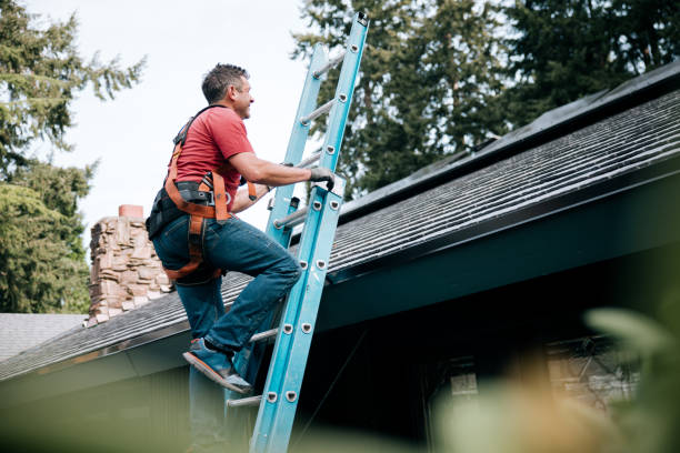 Best Rubber Roofing (EPDM, TPO)  in Boyne City, MI